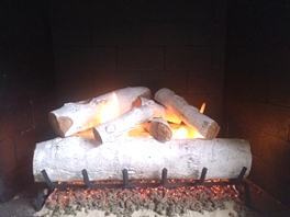 Gas Logs