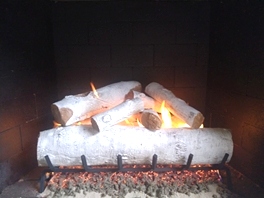 Gas Logs