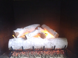 Gas Logs