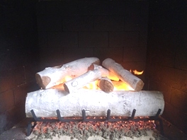 Gas Logs