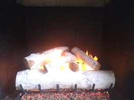 Gas Logs