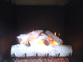 Gas Logs