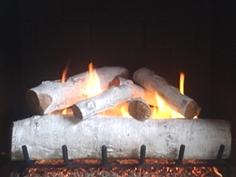 Gas Logs