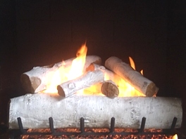 Gas Logs