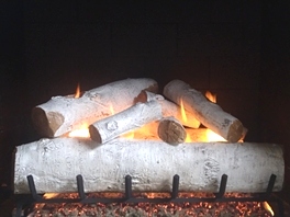 Gas Logs