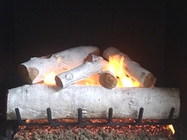 Gas Logs