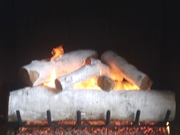 Gas Logs