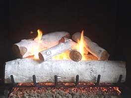 Gas Logs