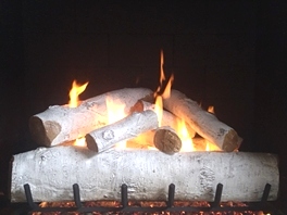 Gas Logs