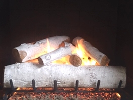 Gas Logs