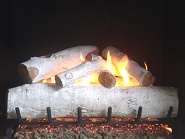 Gas Logs