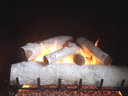 Gas Logs