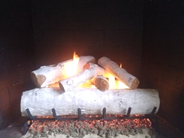 Gas Logs