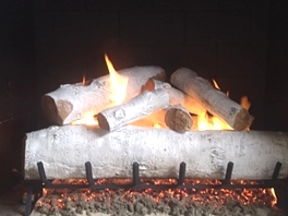 Gas Logs