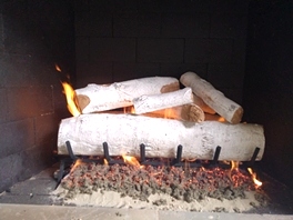 Gas Logs