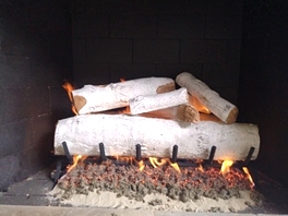 Gas Logs