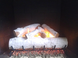 Gas Logs