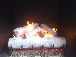 Gas Logs