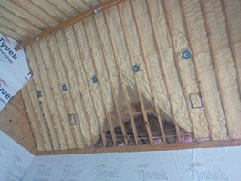 Insulation batts and spray foam