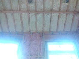 Insulation batts and spray foam