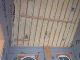 Insulation batts and spray foam