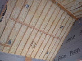 Insulation batts and spray foam