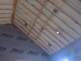 Insulation batts and spray foam