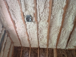 Spray Foam