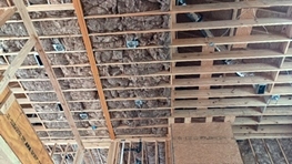 Insulation Contractor 